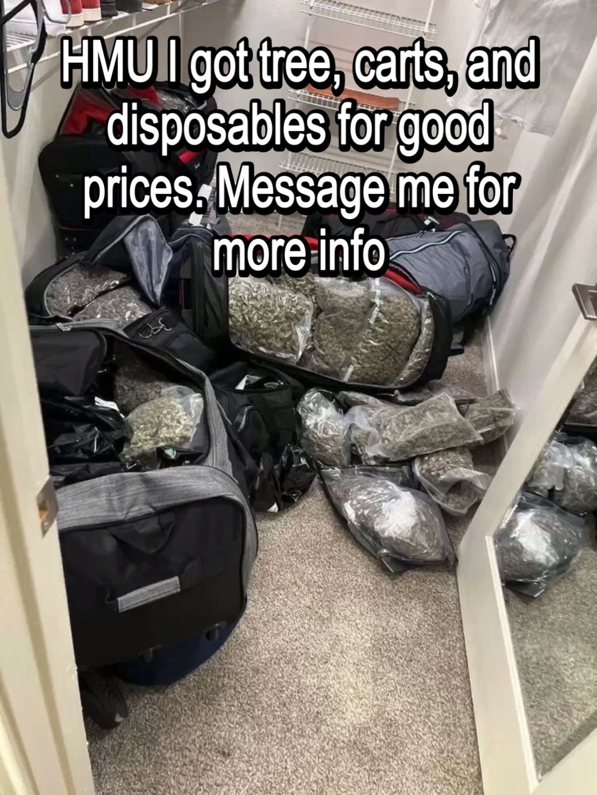 Carts, Disposables And Tree⛽️‼️ WILL DELIVER