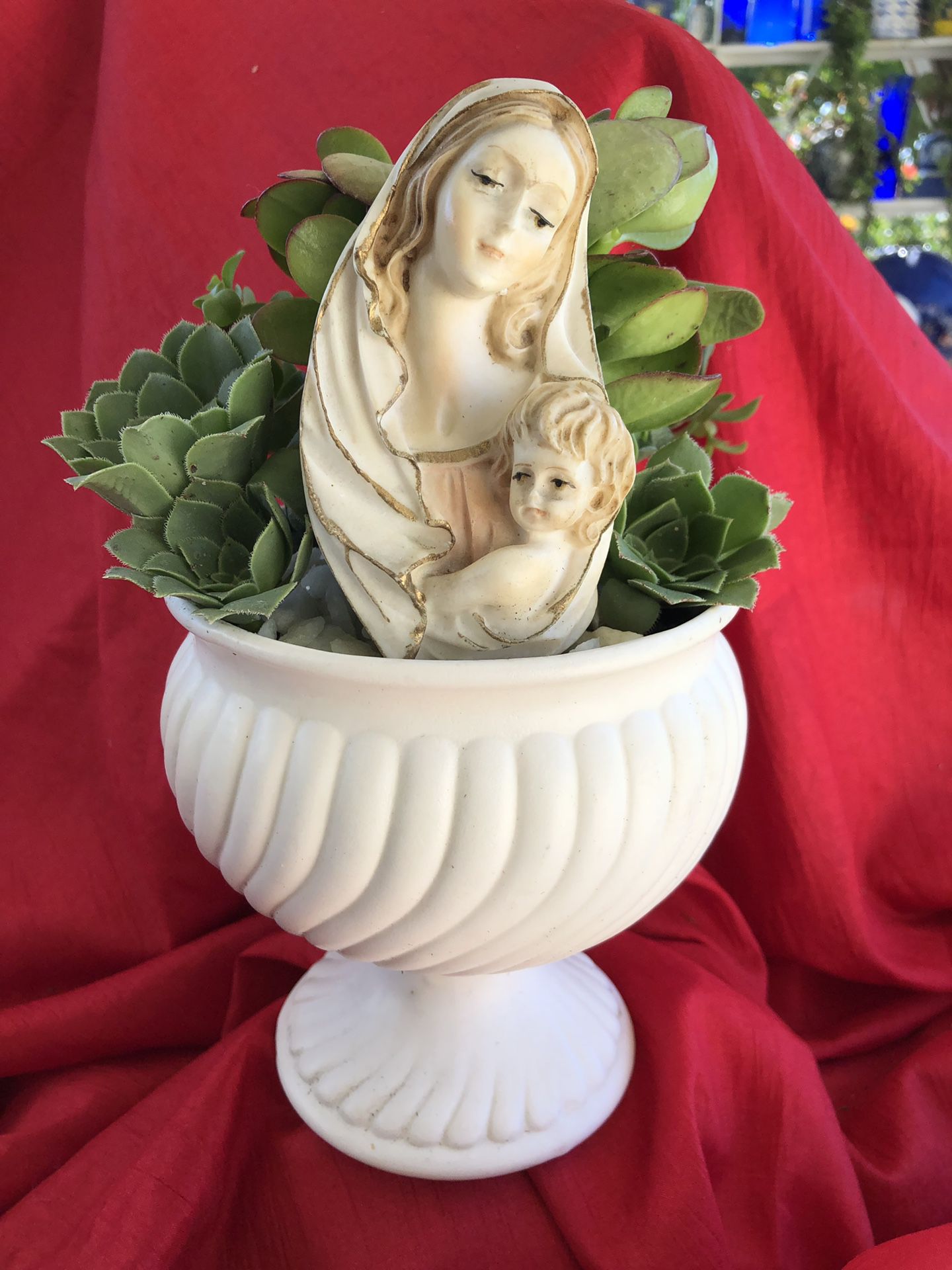 Succulent plants in Madonna and Child arrangement