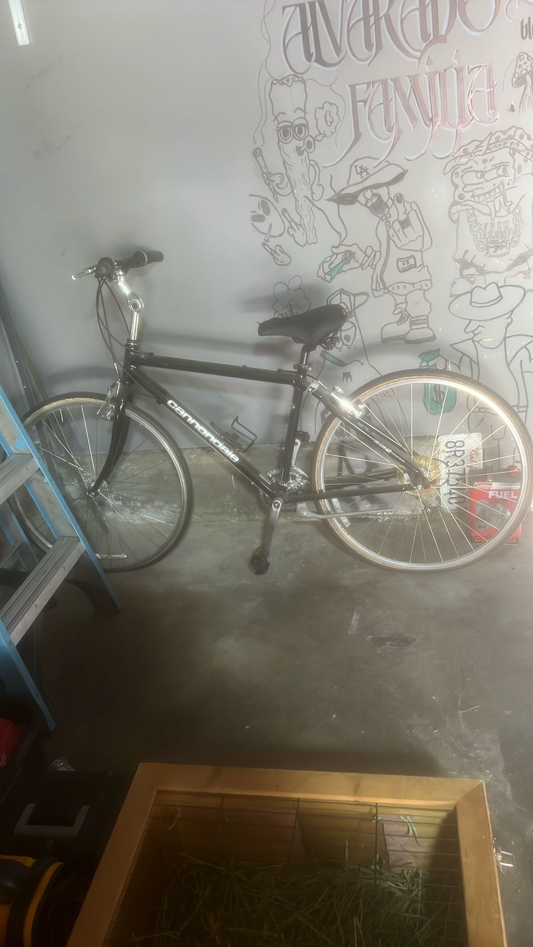 CANNONDALE BIKE