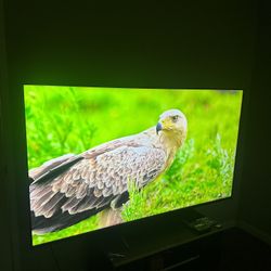 TCL Pro 65 Inches 