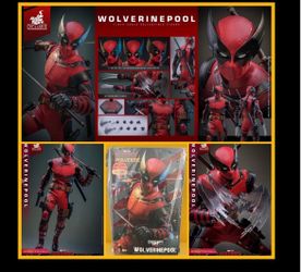 1/6 Hot Toys Wolverinepool MMS857 Deadpool & Wolverine Figure
