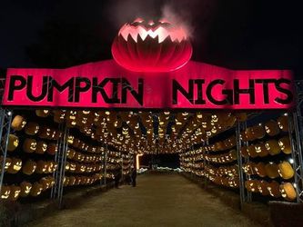 Pumpkin nights
