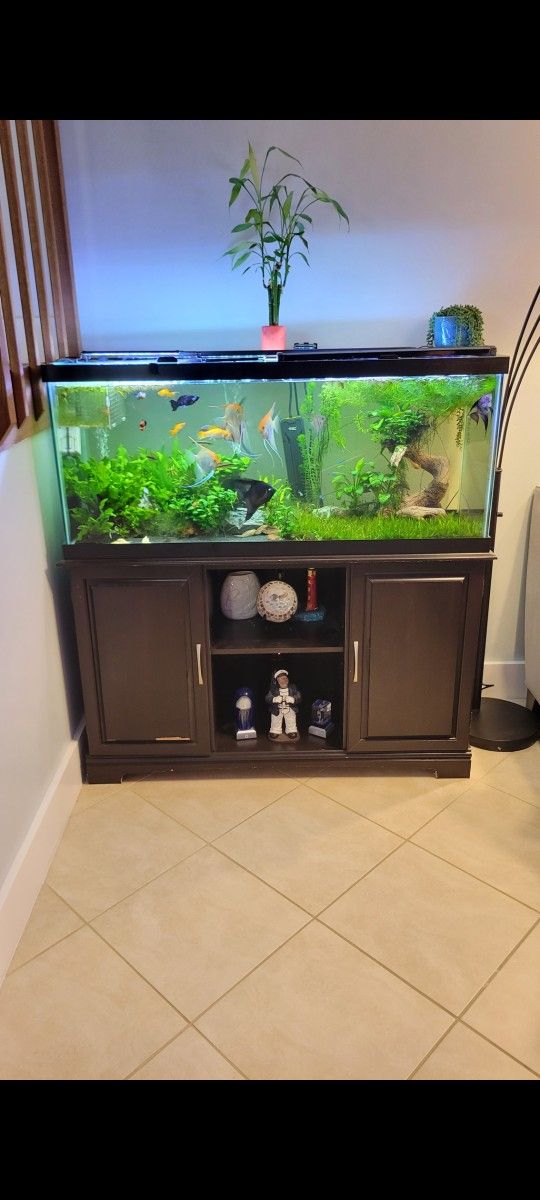 Aquarium Stand