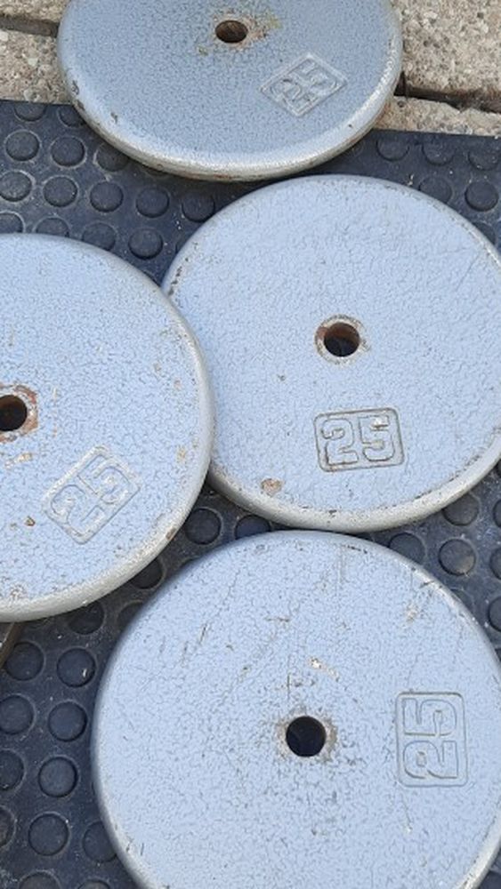 Weight Plates Standard 25s