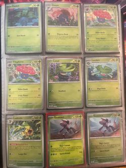 Phantasmal Flames Complete Set Pokemon Cards