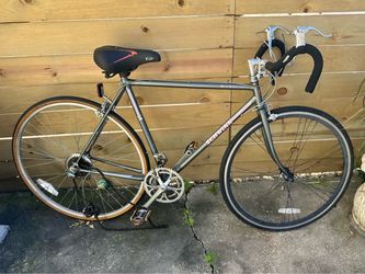 Schwinn World Sport Bike