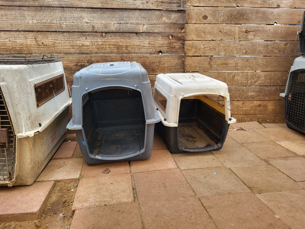 Dog Kennels