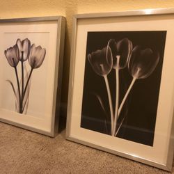 Ikea Flower Picture and Frames