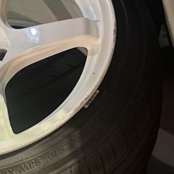 ESR AP5C 19x10.5