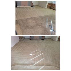 ×××××STEAM ××××CARPET ×××××CLEANING 