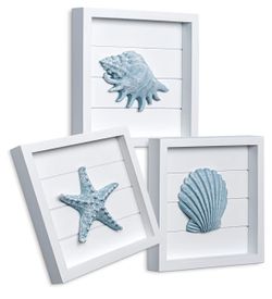 Seashell Wall Decor! Set of 3! Brand new! See all pics!