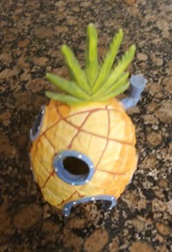 Pineapple House - Fish Tank
