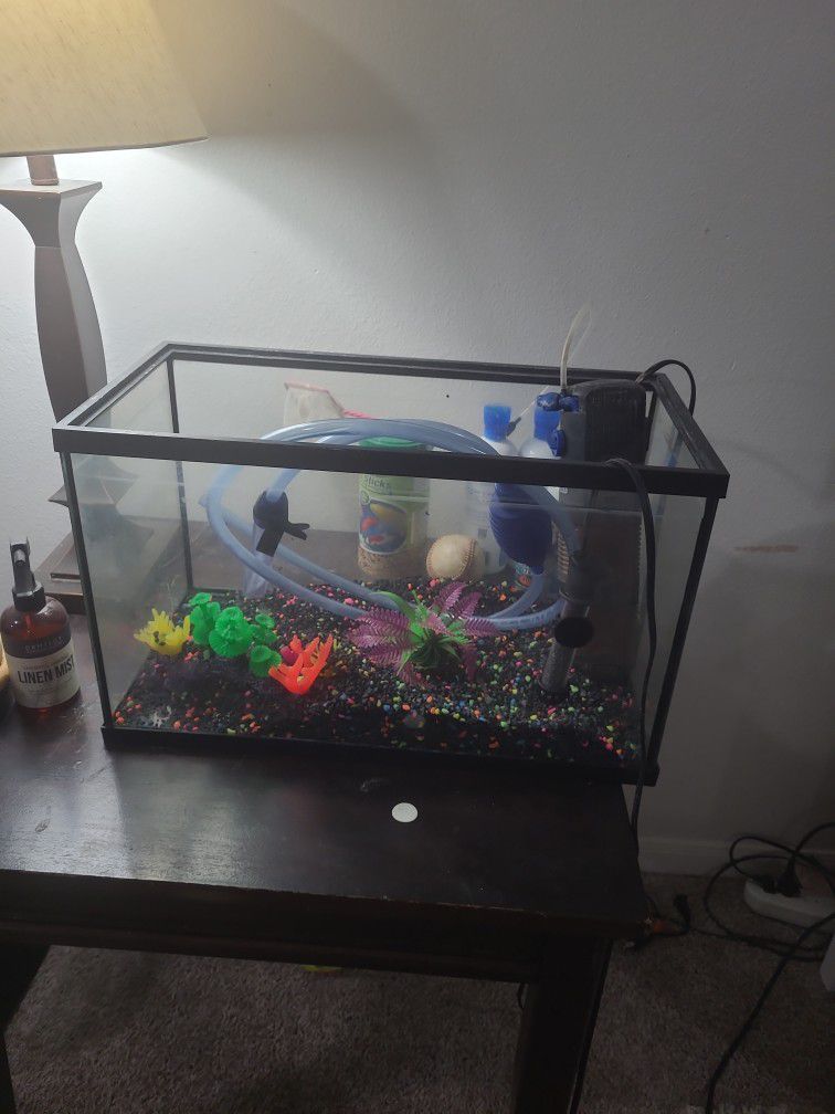 10 Gl Fish Tank And Accessories