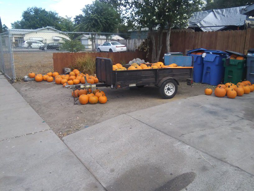 $2 Pumpkins Any Size.   544 N Grattan Ave 