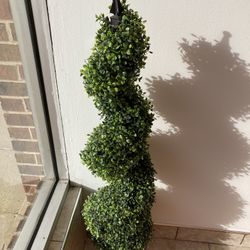 spiral topiary tree