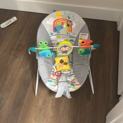 Baby Bouncer 