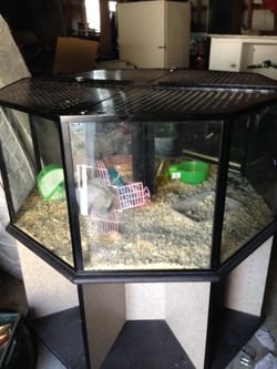 Animal enclosure like the ones in pet stores