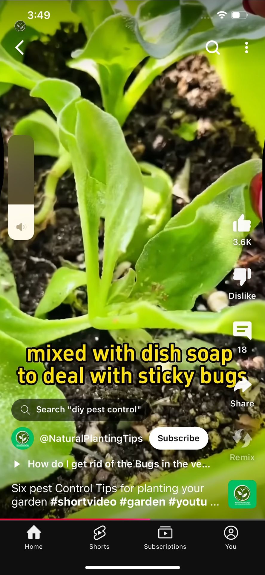 Yard Cleaning And Flower Beds And Gardening