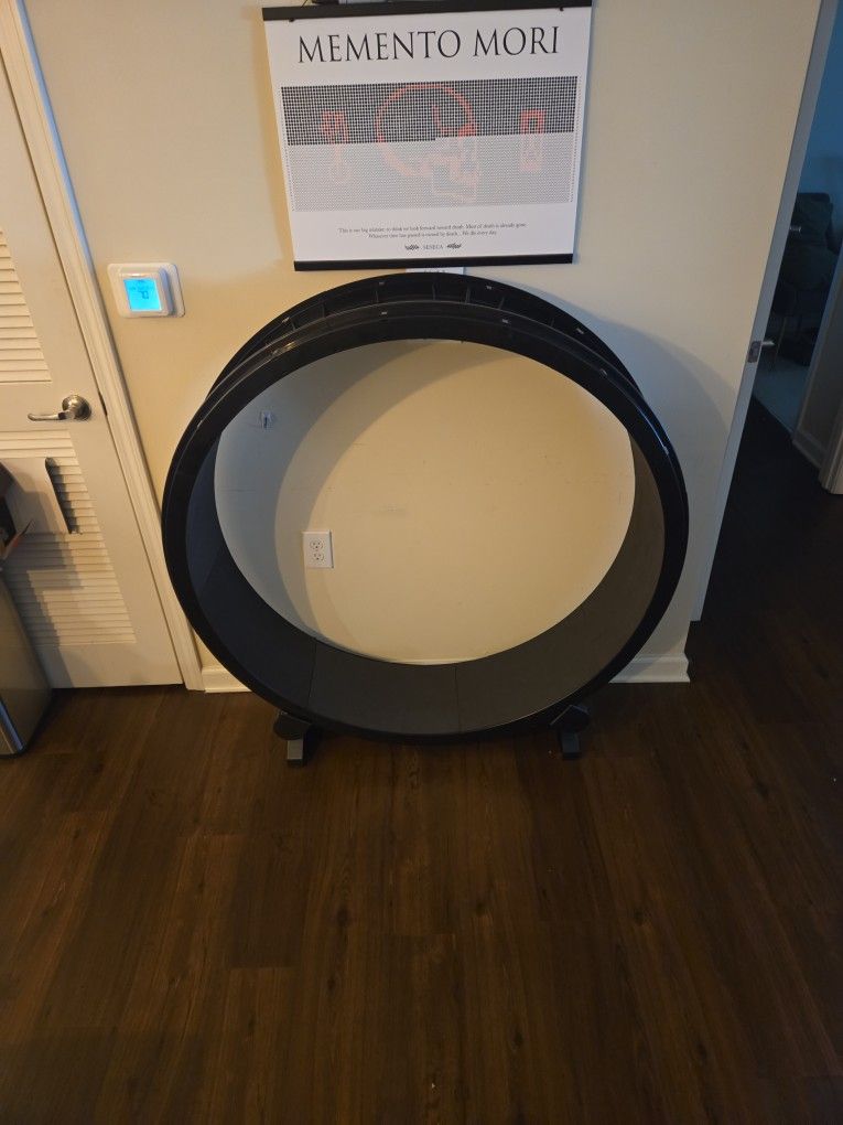 One Fast Cat Exercise Wheel