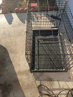 Dog kennel