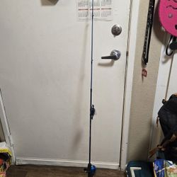 Fishing Rod For Sale 