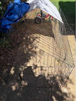 Chicken coop/dog run