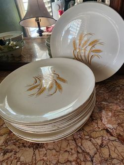 Golden wheat dinner plates