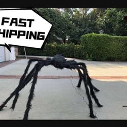Halloween Outdoor Decorations Giant Spider, 5 Ft Large Spider for Yard Lawn Garden Patio Scary Halloween Outside Decor, Indoor Haunted House Prop and 