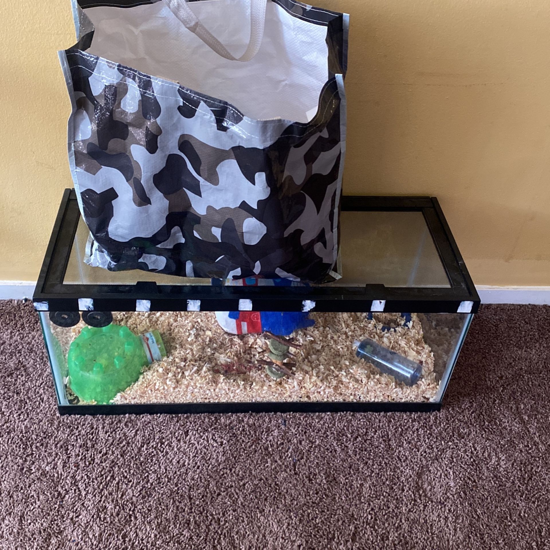 Hamster Plus Supplies