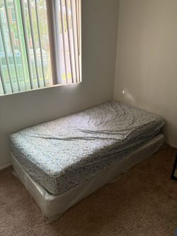 Free Twin Bed & Box Spring