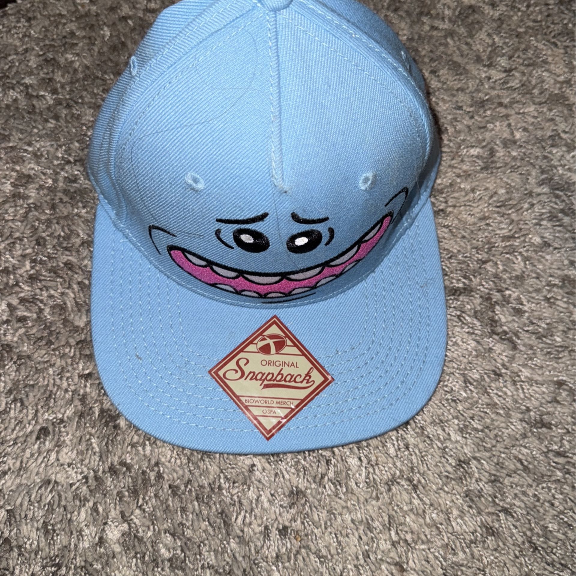 Rick And Morty Hat