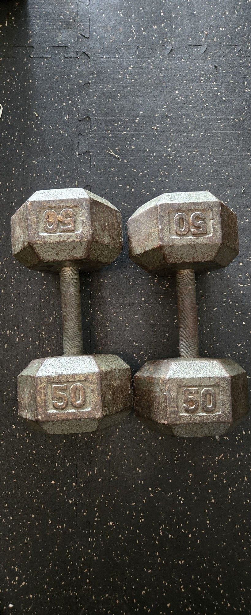 50 Lb Dumbbells