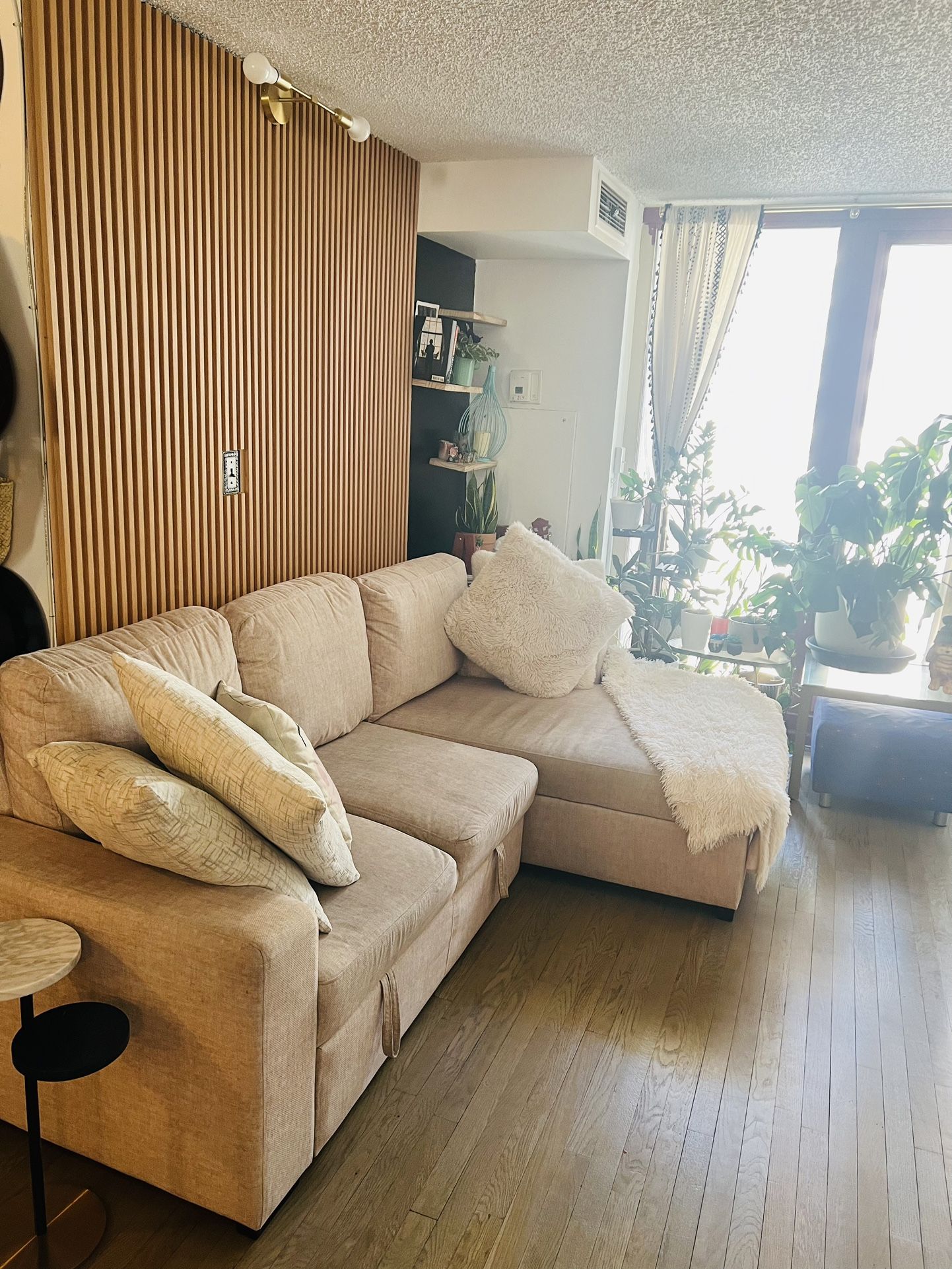 Sofa / Couch 