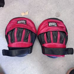 Cleto Reyes boxing mitts