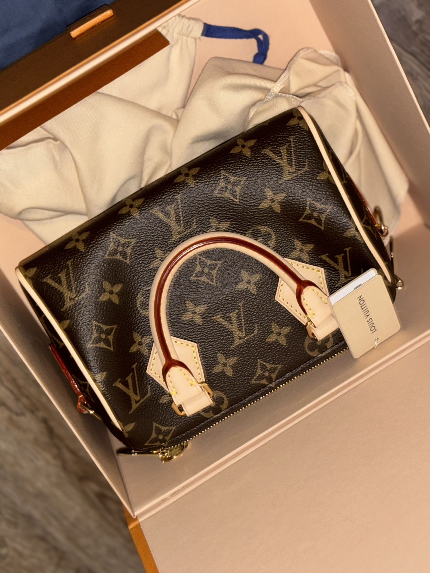 Louis Vuitton Speedy Bag
