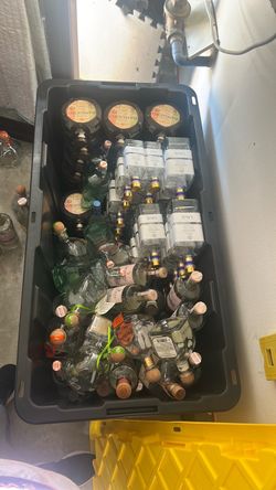 Empty Tequila Bottles