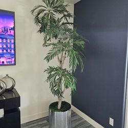 Palm Tree Plant 8.5'