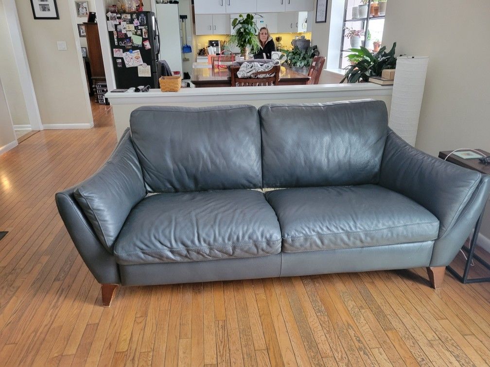 Free Leather Couch
