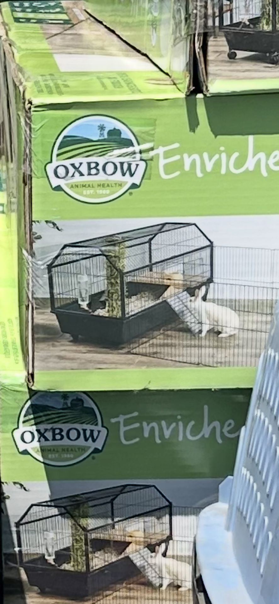 Rabbit habitat