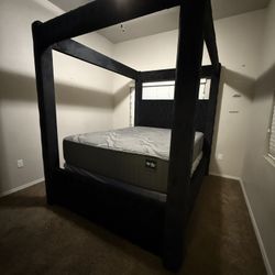 Queen Bes Frame Black Vuelven