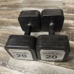 Dumbbell Weights 20 Lbs