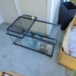 Reptile Tank And Accessories 