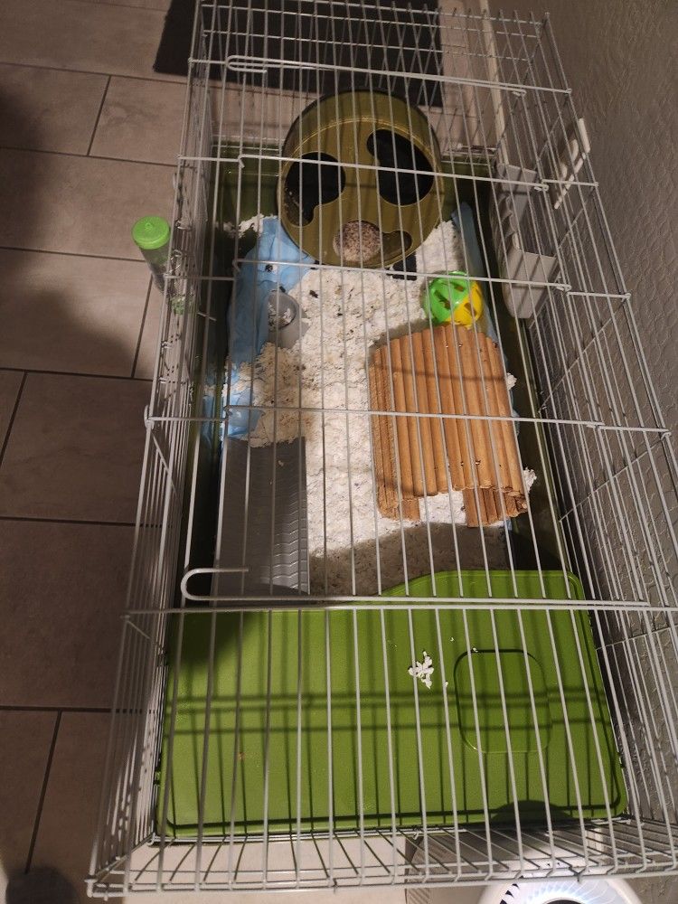 Cage And Accessories