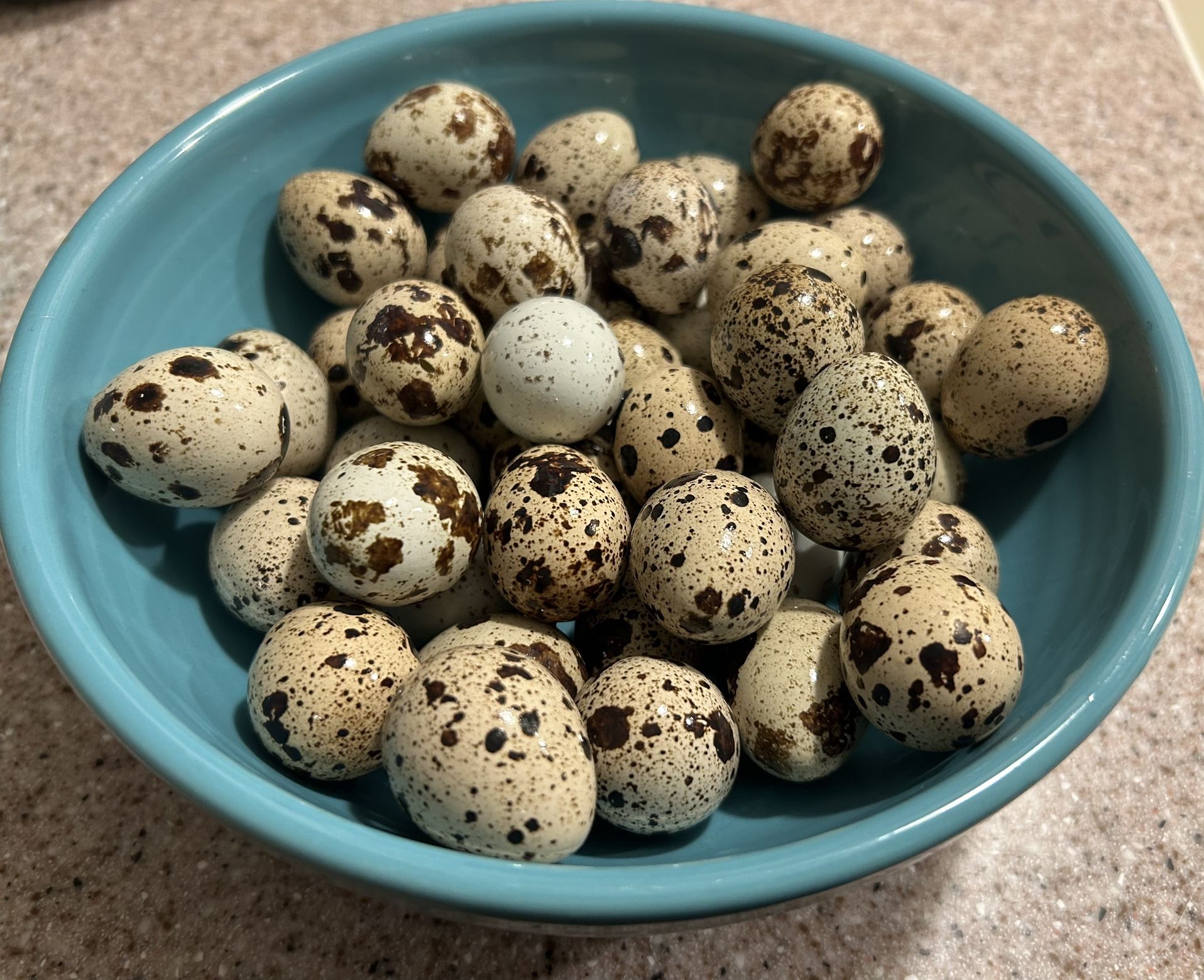 Quail Eggs