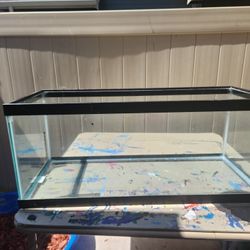 20 Gallon Aquarium 