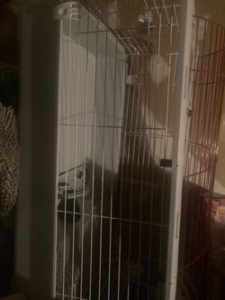 Rabbit Cage