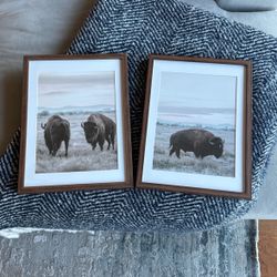 2 Framed Bison Photos From Target