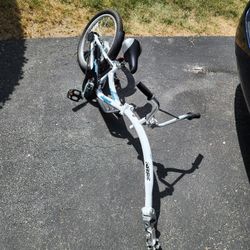 🚲 WeeRide Co-Pilot Tandem Bike Trailer White – Kids Training Tag-Along Bicycle
