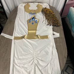 Vintage Women's Cleopatra Egyptian Goddess Halloween Costume Set with Gold Accessories See Measurements Large
