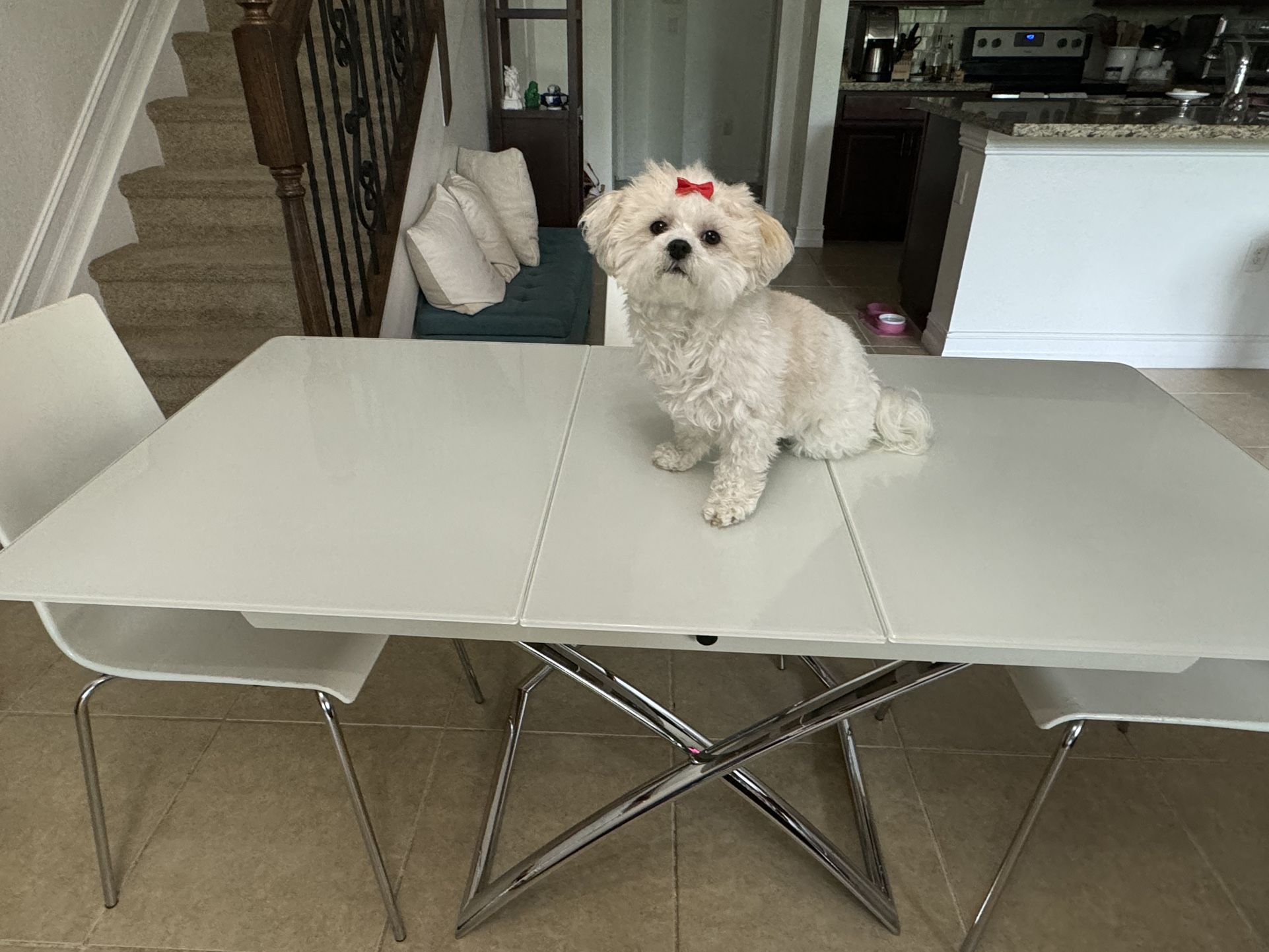 Calligaris Magic J Ext Coffee/Dinning Table